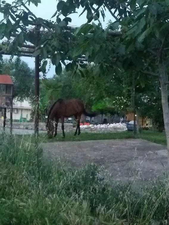 Studios Dimitra'S Metaggitsi Metagkitsi